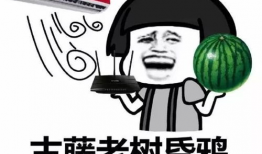 吃瓜爆料打架是真的吗,打架事件真相揭秘